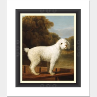 White Poodle In A Punt Posters and Art